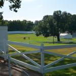 OTRA2014_0357 (August 27, 2014)